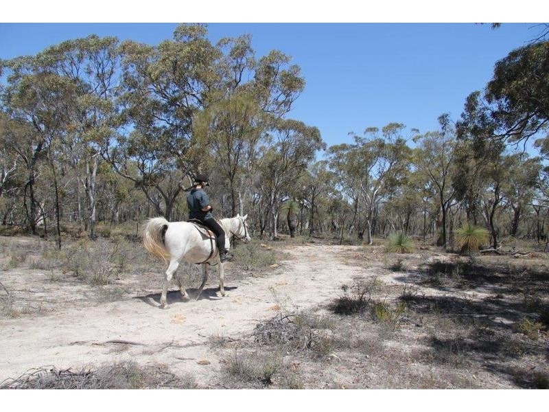 344 Badgin Road, Greenhills WA 6302