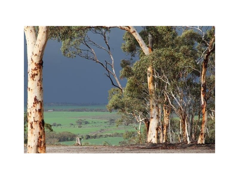 344 Badgin Road, Greenhills WA 6302