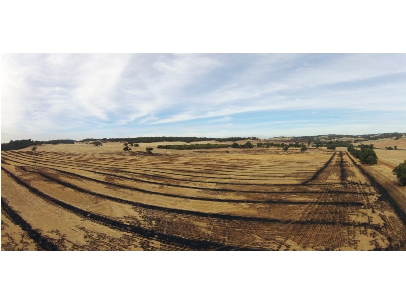 Lot 99,  MYANARRA, York WA 6302