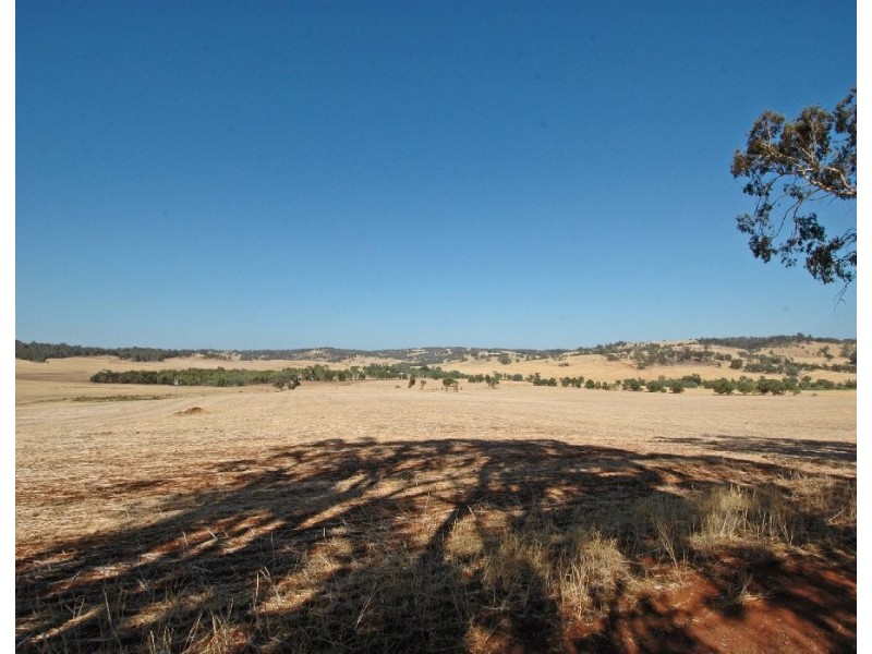 Lot 99,  MYANARRA, York WA 6302