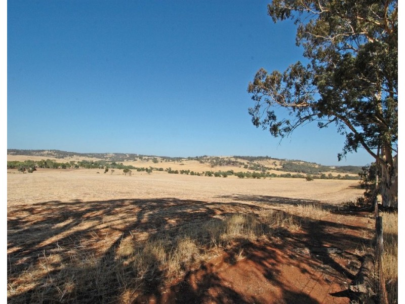 Lot 99,  MYANARRA, York WA 6302