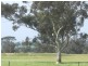 Lot 21,  REEDS, Popanyinning WA 6309