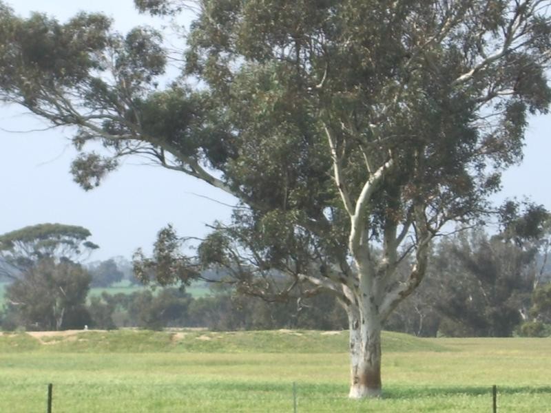 Lot 21,  REEDS, Popanyinning WA 6309