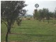 Lot 21,  REEDS, Popanyinning WA 6309