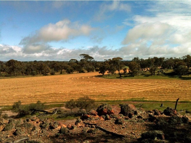 Lot 868,  SHADDICKS, Popanyinning WA 6309
