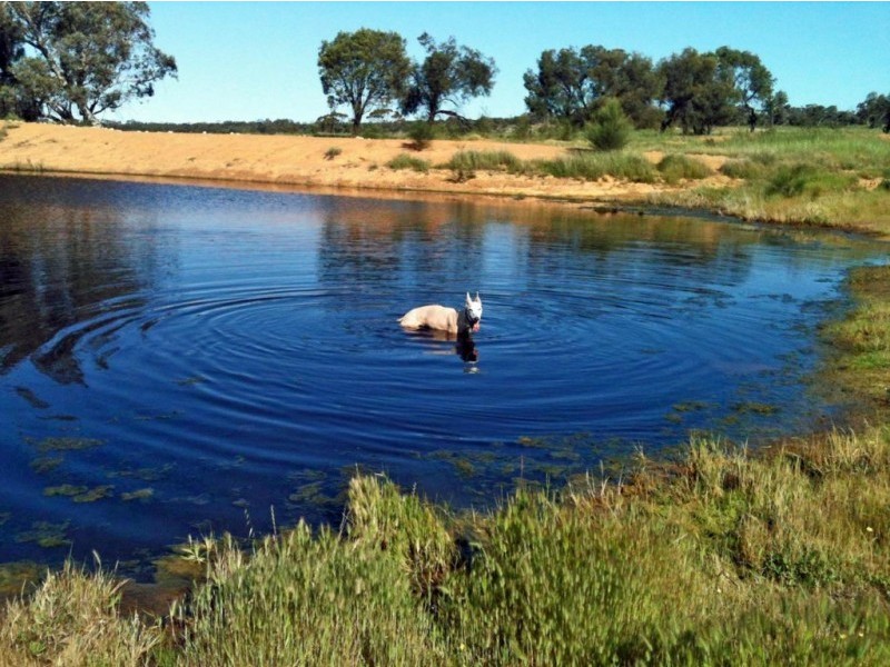 Lot 868,  SHADDICKS, Popanyinning WA 6309