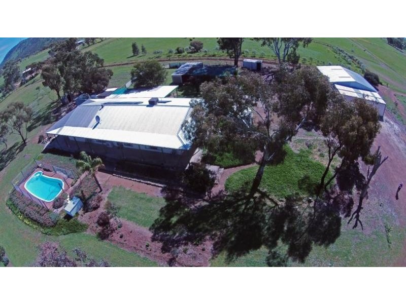 25 PRUNSTER, York WA 6302