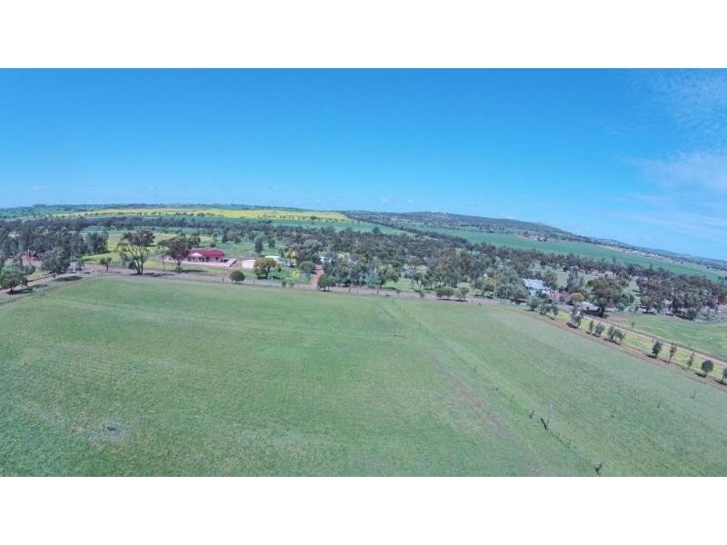 25 PRUNSTER, York WA 6302