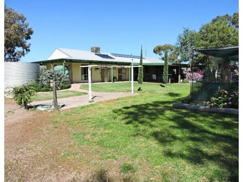 25 PRUNSTER, York WA 6302