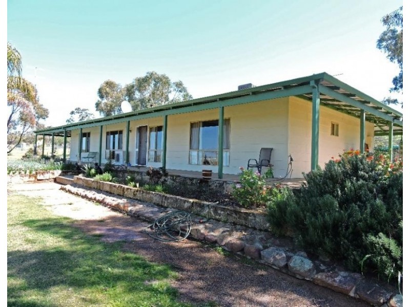 25 PRUNSTER, York WA 6302