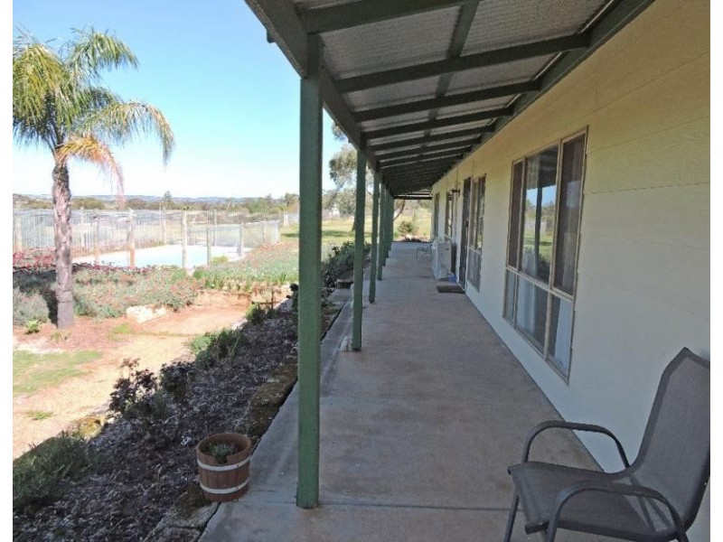 25 PRUNSTER, York WA 6302