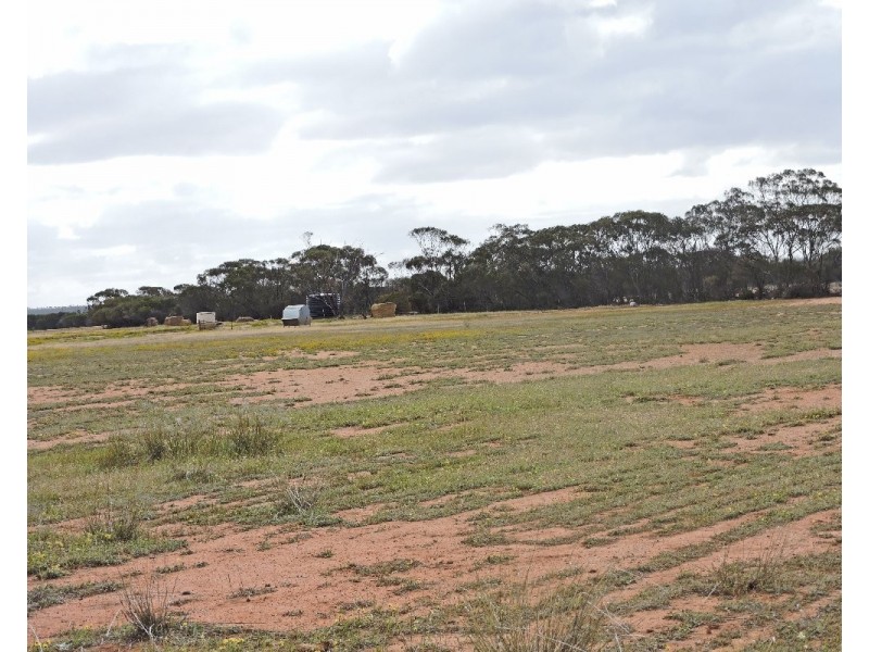 Lot 14327 &245,  Koorda – Bullfinch road, Mukinbudin WA 6479