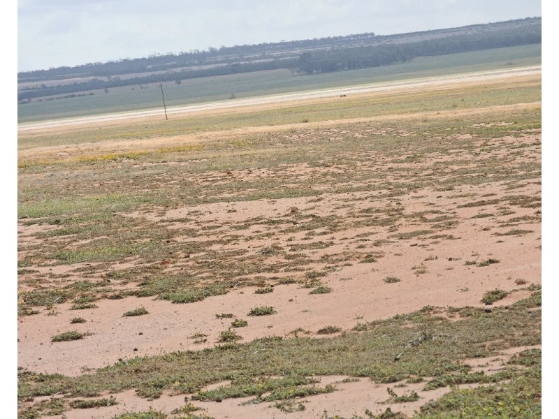 Lot 14327 &245,  Koorda – Bullfinch road, Mukinbudin WA 6479