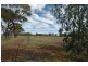 York WA 6302