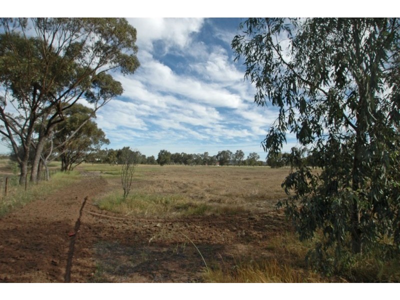 York WA 6302