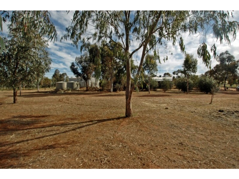 York WA 6302
