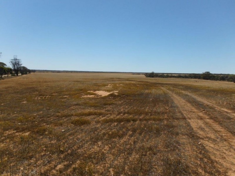 10189 Koorda-Bullfinch Road, Chandler, Mukinbudin WA 6479