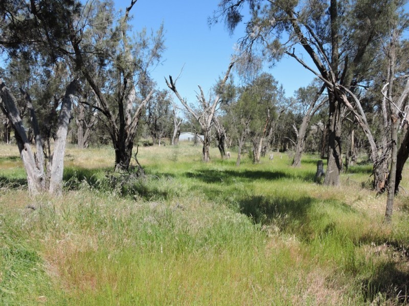 Lot 52,  HAMERSLEY, Beverley WA 6304