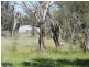 Lot 52,  HAMERSLEY, Beverley WA 6304