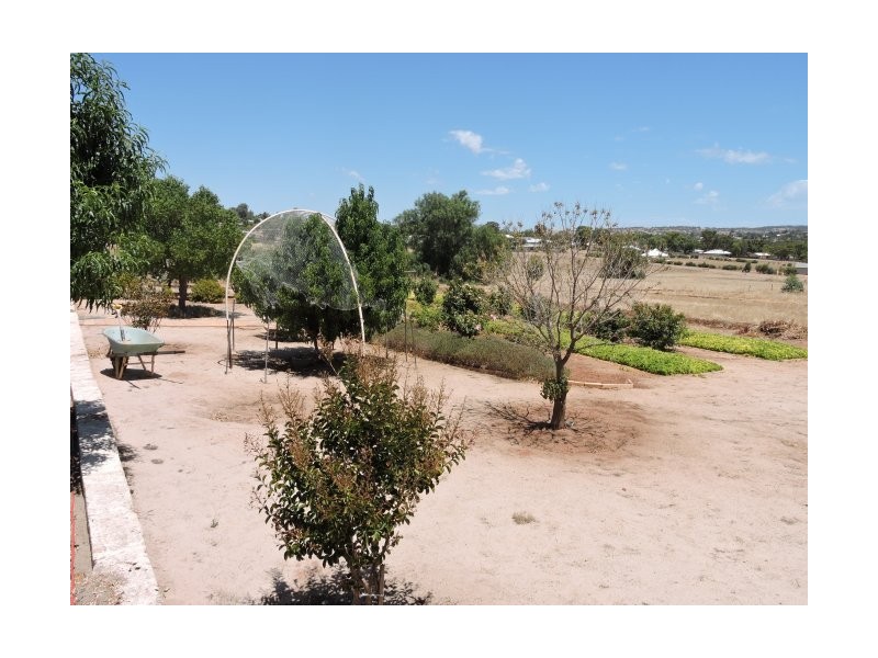 44 Andrews Ave, York WA 6302