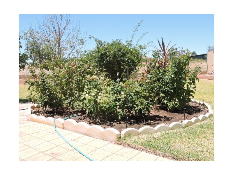 44 Andrews Ave, York WA 6302