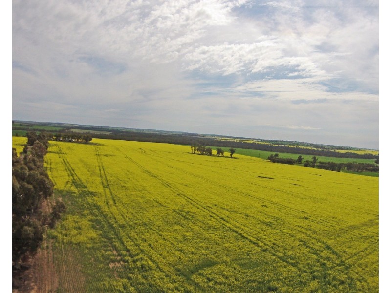 Lot 1461,  QUELLINGTON ROAD, York WA 6302