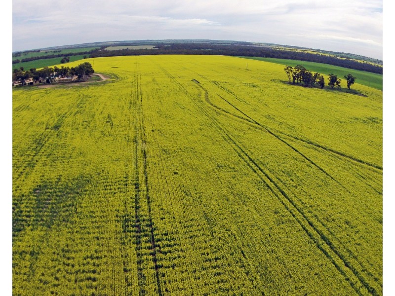 Lot 1461,  QUELLINGTON ROAD, York WA 6302