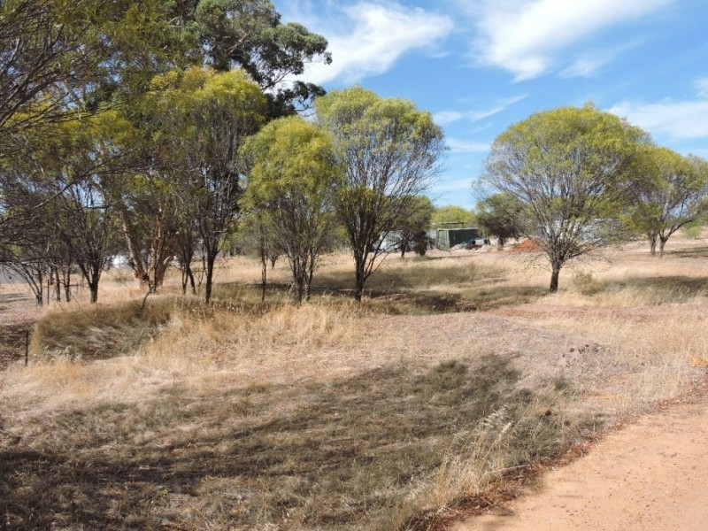 Lot 122,  SCOTT, Mount Hardey WA 6302