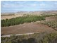 218 BUNTER WAY, Howatharra WA 6532