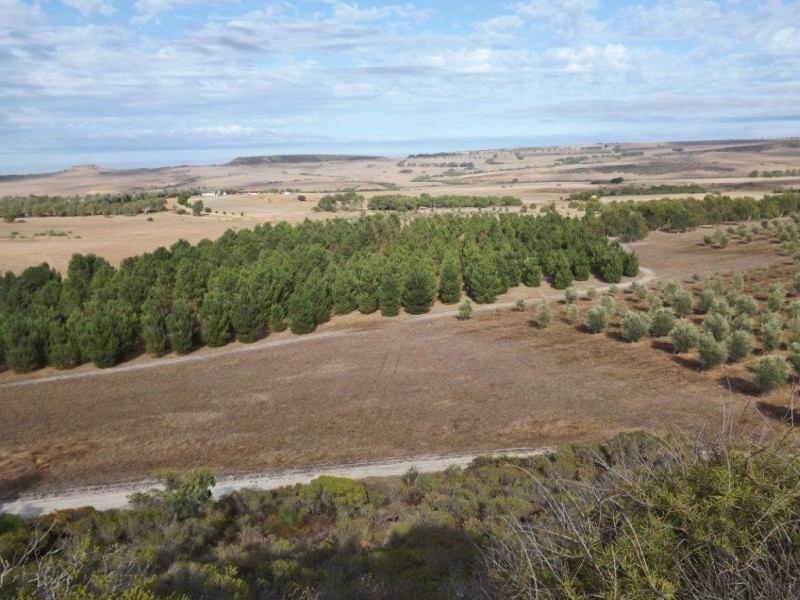 218 BUNTER WAY, Howatharra WA 6532
