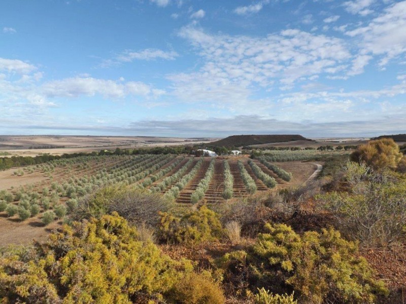 218 BUNTER WAY, Howatharra WA 6532
