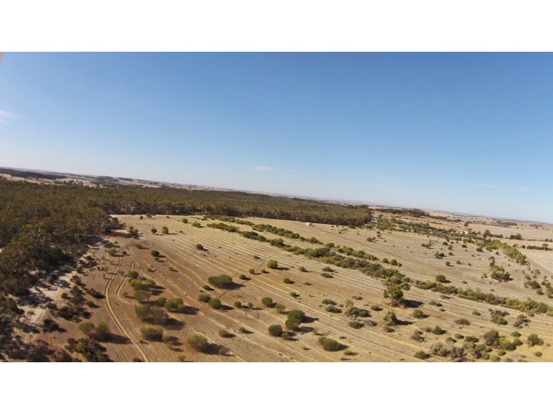 Lot 13065,  NORTH DUBELLING, Quairading WA 6383