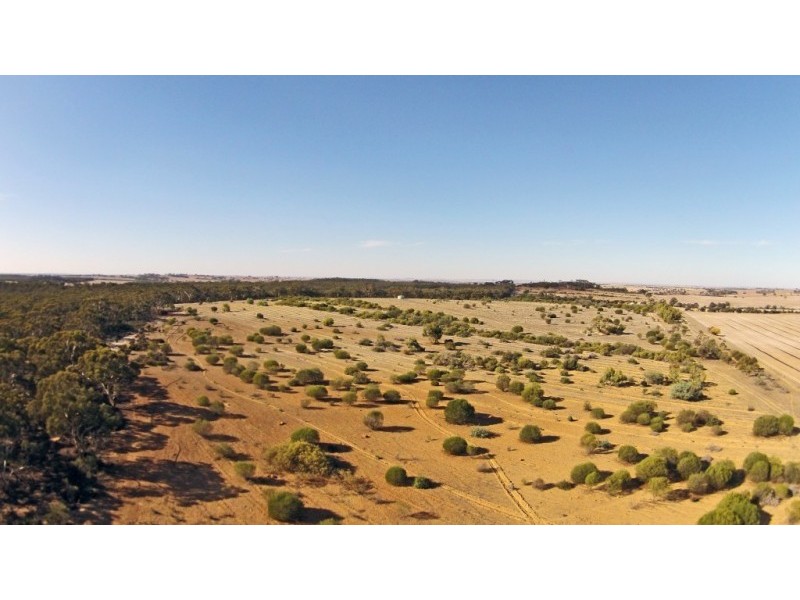 Lot 13065,  NORTH DUBELLING, Quairading WA 6383