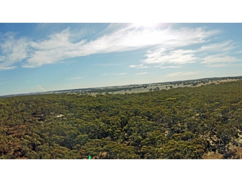 Lot 13065,  NORTH DUBELLING, Quairading WA 6383