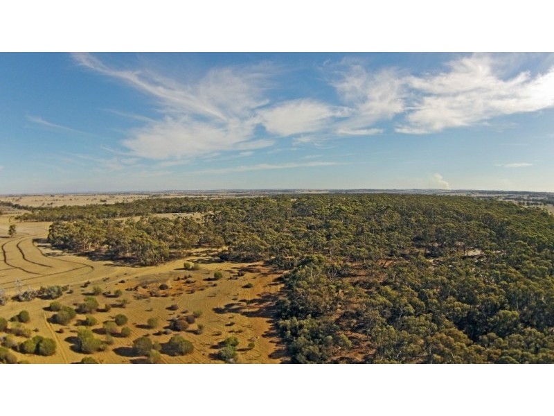 Lot 13065,  NORTH DUBELLING, Quairading WA 6383