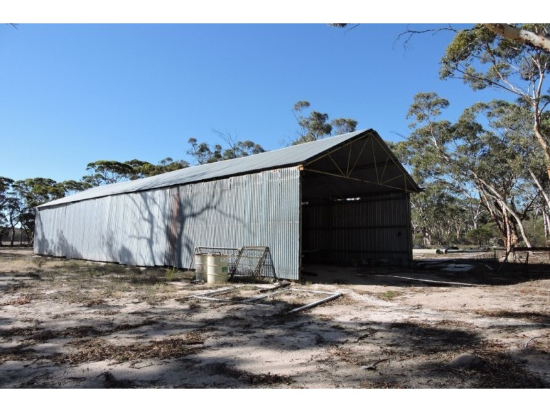 Lot 13065,  NORTH DUBELLING, Quairading WA 6383