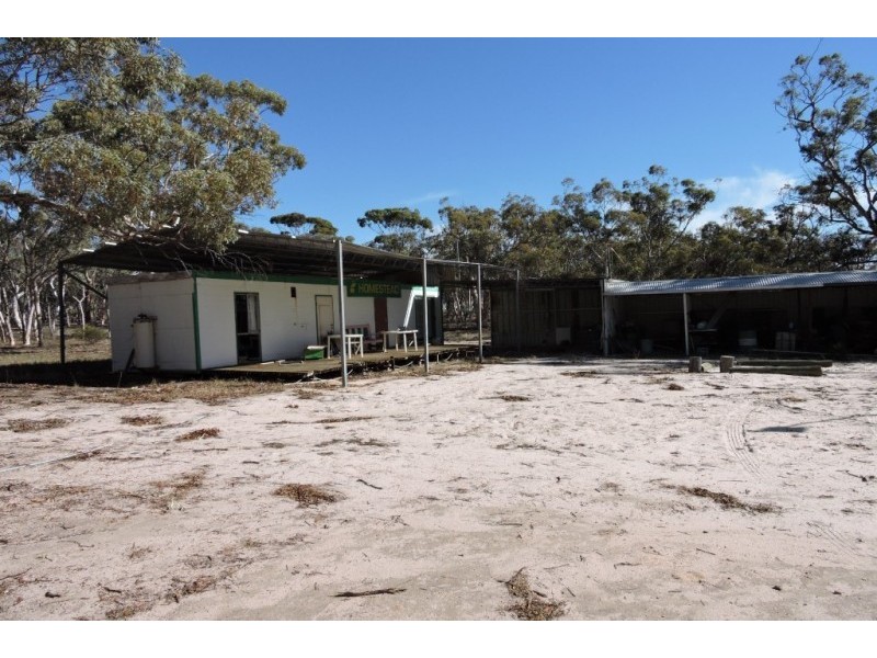 Lot 13065,  NORTH DUBELLING, Quairading WA 6383