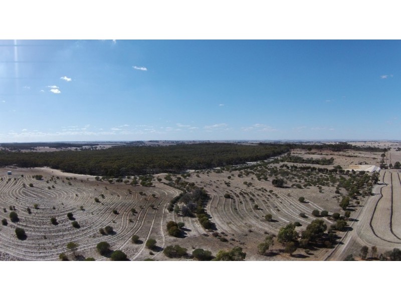 Lot 13065,  NORTH DUBELLING, Quairading WA 6383