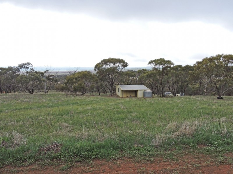 181 ATTFIELD ROAD,, York WA 6302