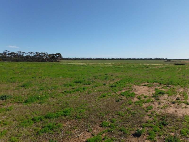 Lot 27960,  Rabbit Proof Fence Road, Mukinbudin WA 6479
