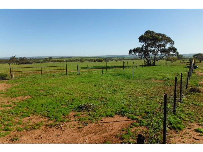Lot 27960,  Rabbit Proof Fence Road, Mukinbudin WA 6479