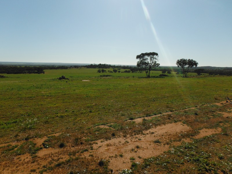 Lot 27960,  Rabbit Proof Fence Road, Mukinbudin WA 6479