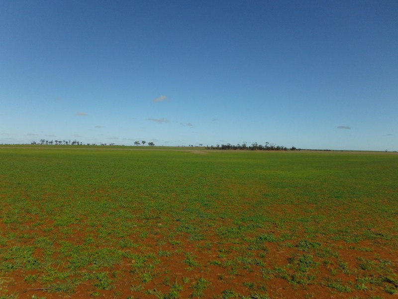 Lot 27960,  Rabbit Proof Fence Road, Mukinbudin WA 6479