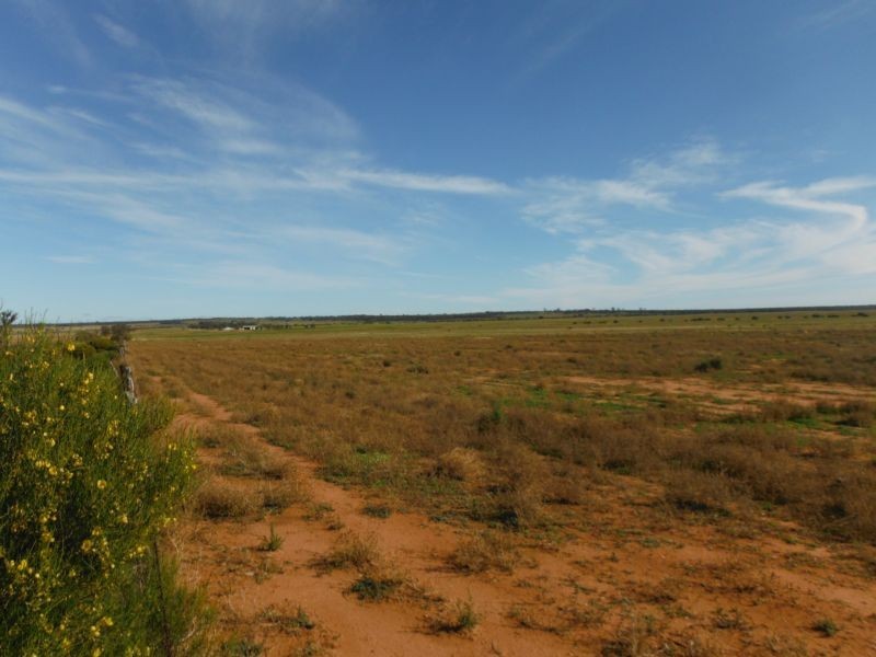 421 Davis Road, Mukinbudin WA 6479