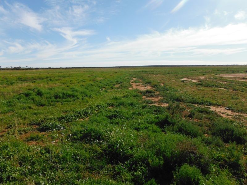 421 Davis Road, Mukinbudin WA 6479