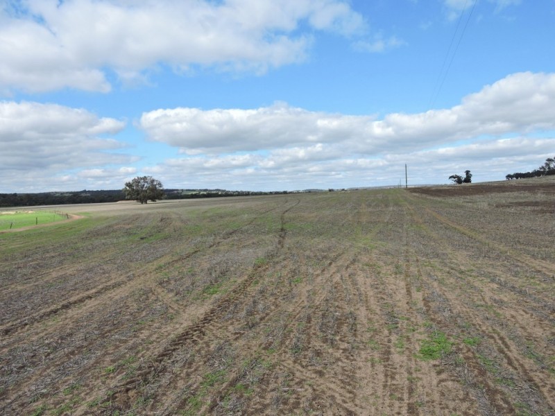 Lot 7879,  ULBRIGH ROAD, Wandering WA 6308