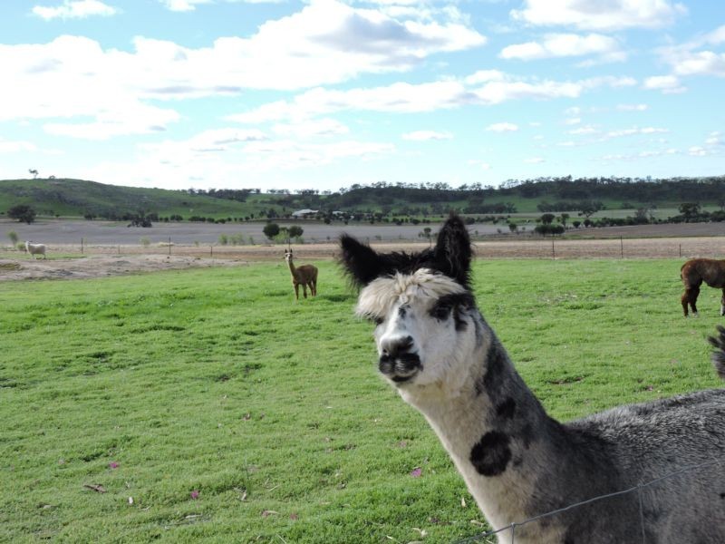 Lot 987,  York-williams Road, Beverley WA 6304