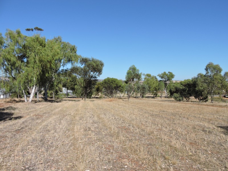 Lot 62,  PANMURE ROAD, York WA 6302