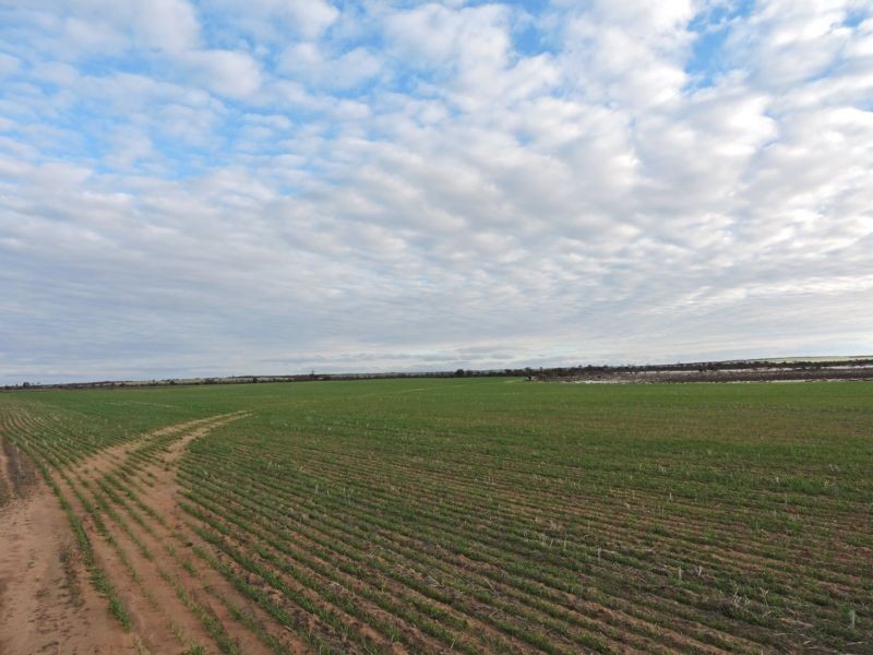 Lot 11068,  Hine Hill Road, Hines Hill WA 6413