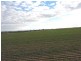 Lot 11068,  Hine Hill Road, Hines Hill WA 6413